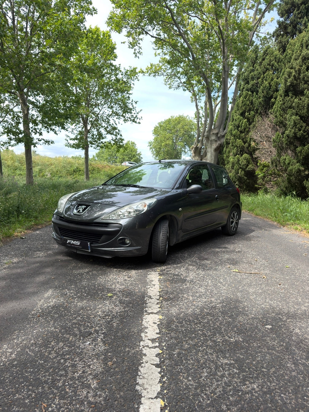 Peugeot 206+
