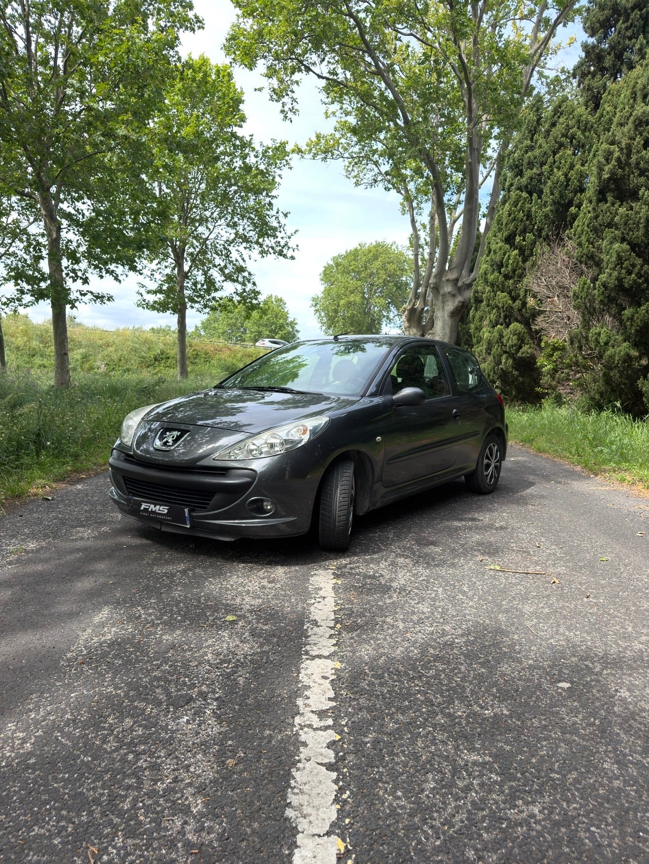 Peugeot 206+