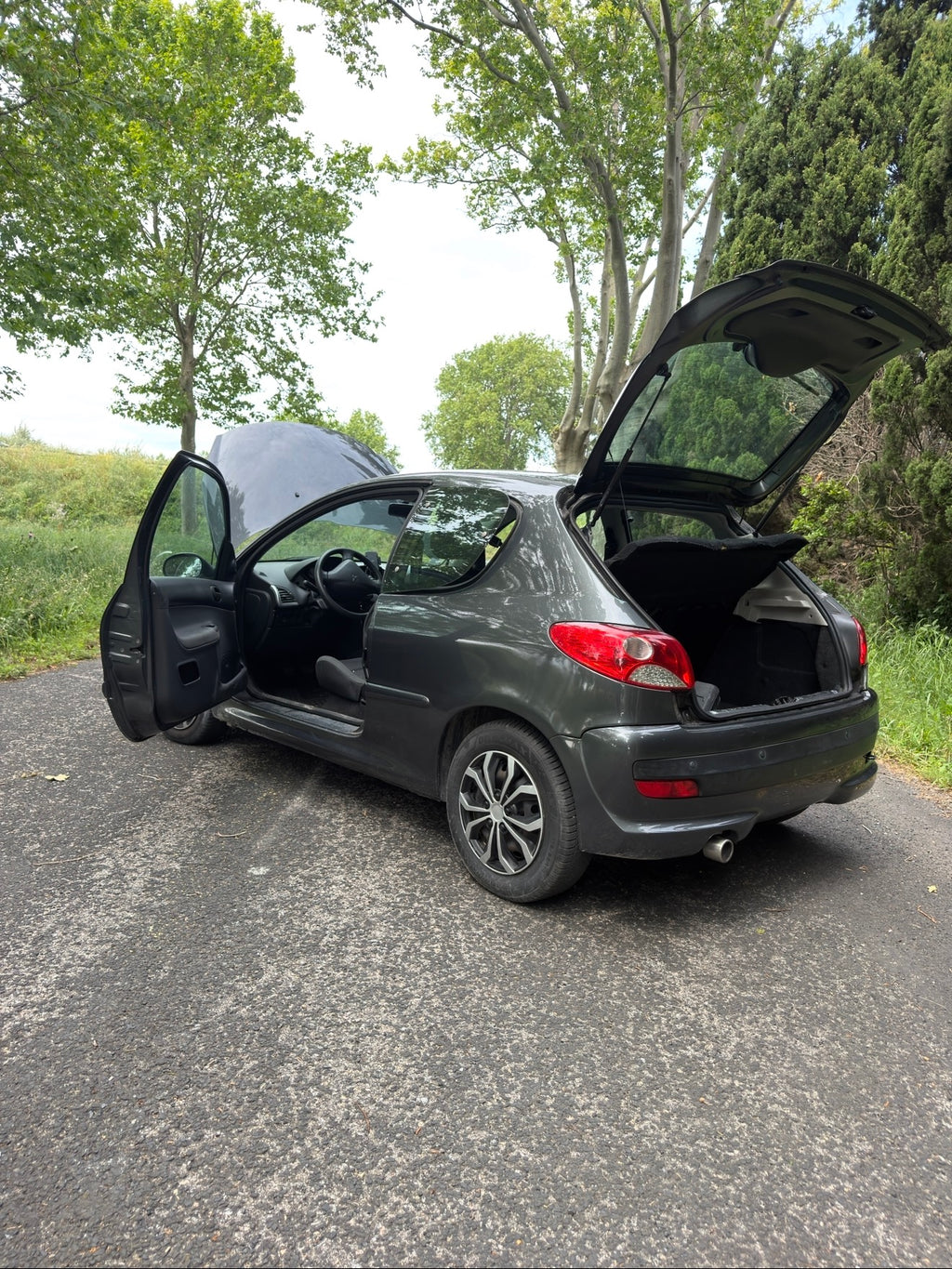 Peugeot 206+