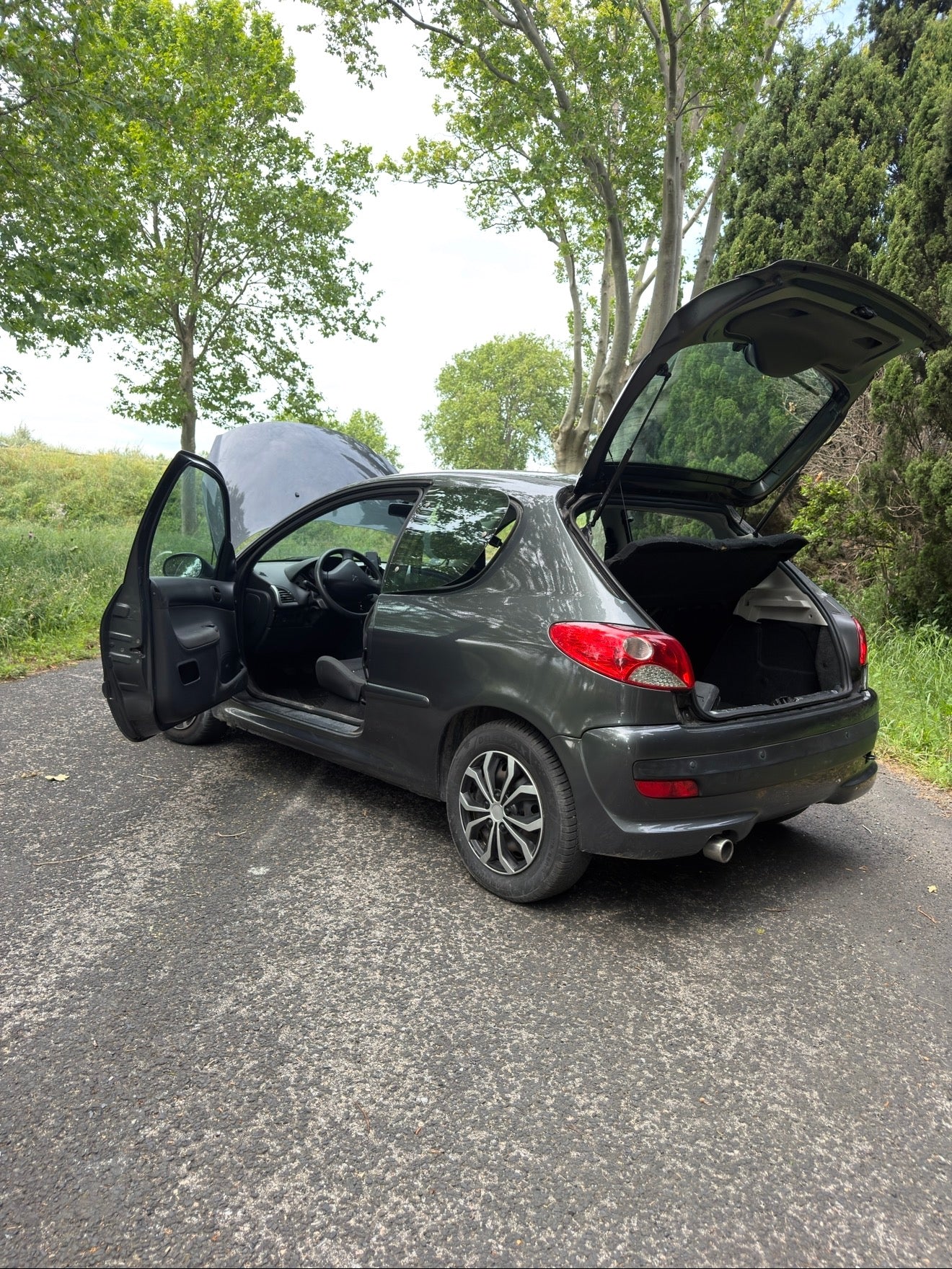 Peugeot 206+