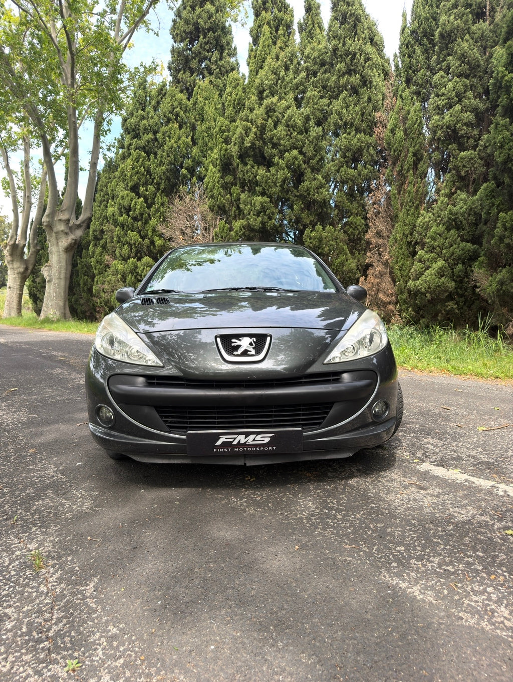 Peugeot 206+